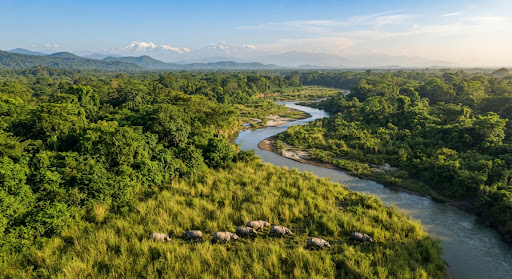 Best Time to Visit Chitwan